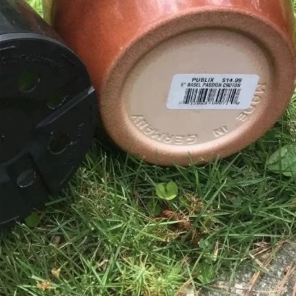 Brown flowers pot